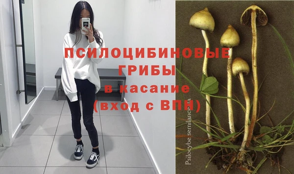 2c-b Армянск